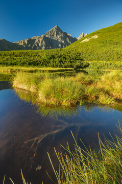View of a tranquil alpine lake reflecting the towering, jagged peaks under a clear blue sky, framed by lush green meadows, Biele pleso tarn, Vysoke Tatry, Presovsky kraj, Slovakia.