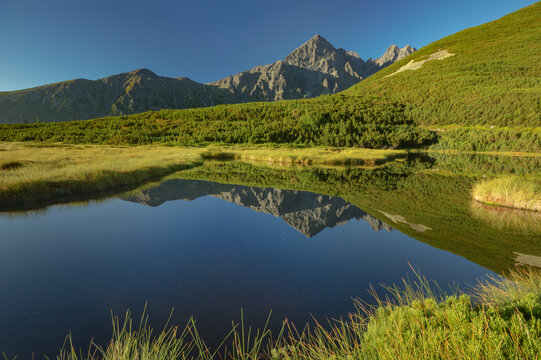 View of the tranquil lake mirroring the jagged peaks and the verdant slopes under a clear sky, Biele pleso tarn, Presovsky kraj, Slovakia.