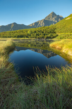 View of a serene tarn reflecting the sky and towering mountains, framed by lush greenery and golden grasses, Biele pleso tarn, Vysoke Tatry, Presovsky kraj, Slovakia.