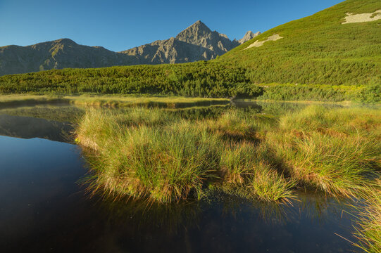 View of tranquil waters mirroring jagged peaks under a serene sky, where vibrant green vegetation meets the stark mountain landscape, Vysoke Tatry, Presovsky kraj, Slovakia.