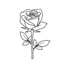 Single rose flower line art silhouette isolated on white background