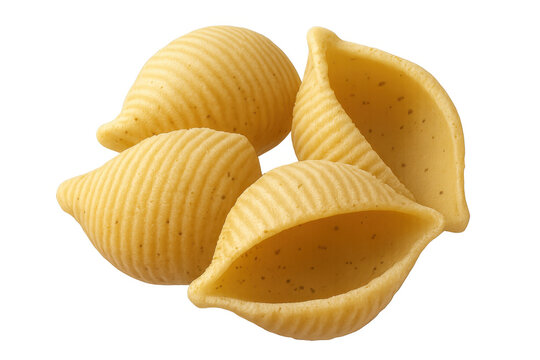 Conchiglie pasta, uncooked italian durum wheat shells, fresh dried food for cooking, transparent background