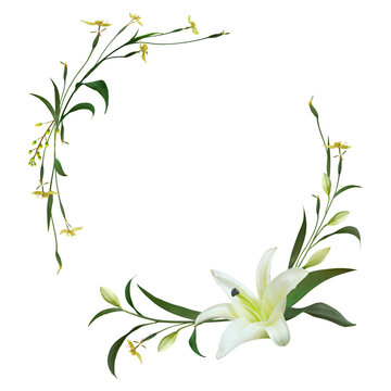 White Lily flower wreath or corner border arrangement delicate funeral or wedding invitation isolated on transparent background