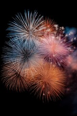 Obraz premium Vibrant burst of colorful fireworks against a night sky