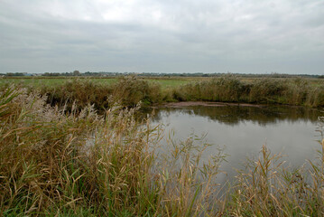 domaine de Beauguillot