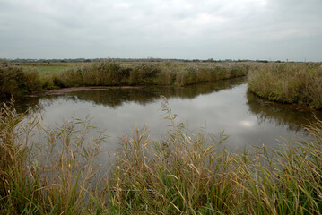 domaine de Beauguillot