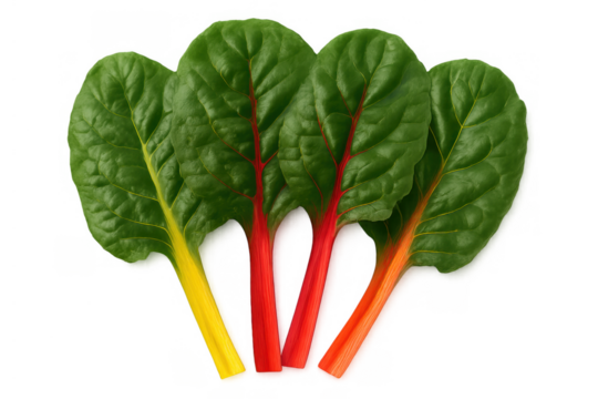 Rainbow chard leaves on a transparent background, showing colorful stalks. A prime ingredient for organic healthy eating and cooking