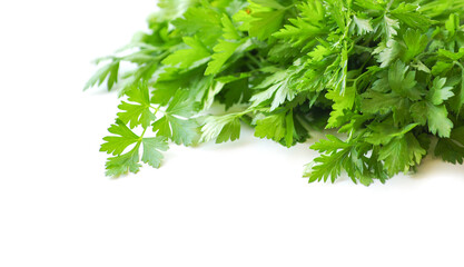 Parsley isolated on white background
