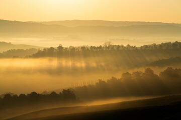 View of golden sunlight piercing through the morning mist over rolling hills and dark trees creating a serene landscape, Val dâ€™Orcia, Tuscany, Italy.