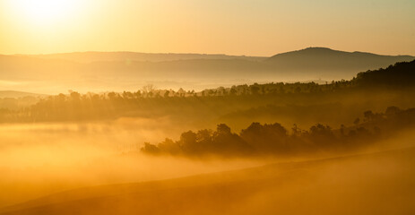 View of golden sunlight spills over the rolling hills and clinging fog, painting the landscape in warm hues, a serene vista of nature's embrace, Val dâ€™Orcia, Tuscany, Italy.