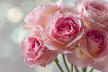 Soft pastel pink roses in full bloom with delicate petals and gentle lighting creating a romantic and elegant floral composition for special occasions