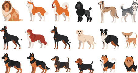 Big set of various dog breeds, flat vector illustration collection of different cartoon pet characters, canine types isolated on white background.