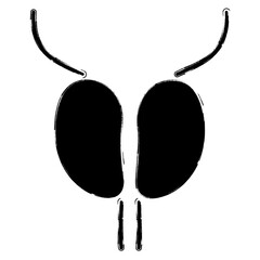 prostatitis icon, brush strokes, vector illustration on white background.