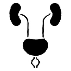 prostatitis icon, brush strokes, vector illustration on white background.