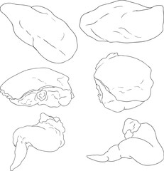 Line vector illustrations of various raw meat cuts, with detailed textures in realistic style