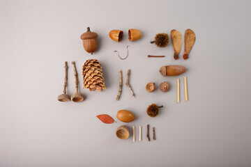 Flat lay of natural autumn objects on neutral background, ideal for eco branding, seasonal marketing, educational visuals, craft tutorials, and wellness content