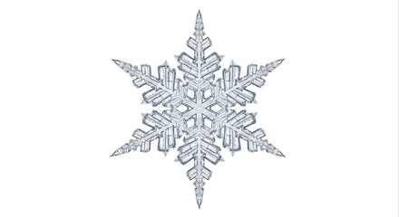 Delicate Icy Snowflake with Detailed Structure on Clean White Background