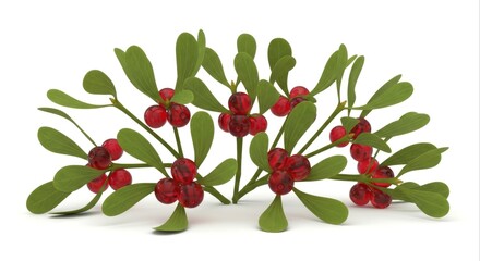 Mistletoe with Shiny Red Berries and Green Leaves on White Background