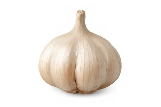 Garlic bulb, a healthy ingredient used in preparing delicious meals. Isolated on a transparent background