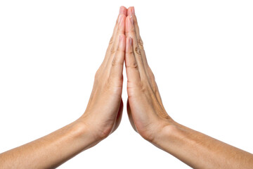 Hands in a praying gesture showing gratitude, respect, peace, meditation, and spiritual calmness, symbolizing prayer, mindfulness, harmony, balance, blessing, hope, and positive intention.