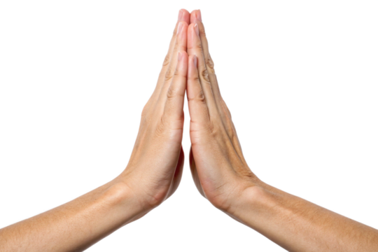 Hands in a praying gesture showing gratitude, respect, peace, meditation, and spiritual calmness, symbolizing prayer, mindfulness, harmony, balance, blessing, hope, and positive intention.
