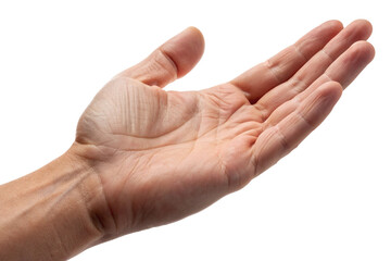 Close-up of an open human hand extended forward with empty palm, symbolizing asking, offering, receiving, support, care, connection, gesture, communication, request, and human interaction.