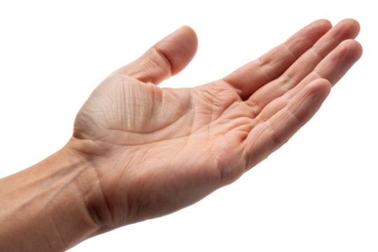 Close-up of an open human hand extended forward with empty palm, symbolizing asking, offering, receiving, support, care, connection, gesture, communication, request, and human interaction.