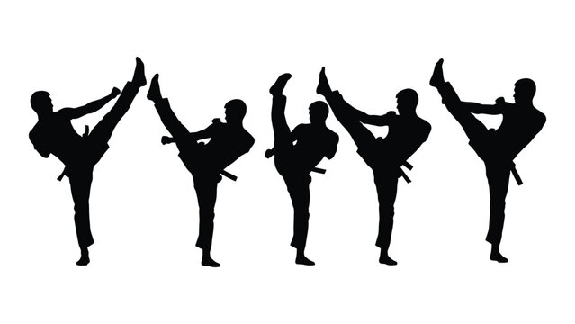 Martial arts high kick silhouettes isolated on white background, Vector