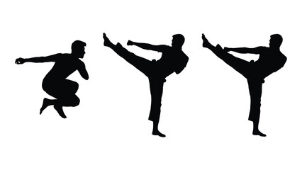 Martial arts kicks and pose silhouettes isolated on white background, Vector