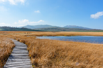 雨竜沼湿原の草紅葉と池塘が広がる秋景色（北海道）