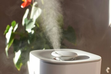 A humidifier moistens dry air in the home, purifying and adding moisture. Place the humidifier near...