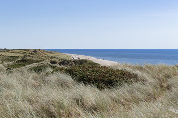Blick über die Dünen auf der Nordsee Insel Sylt
