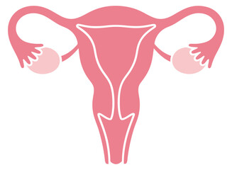 Minimalist Uterus and Ovaries Vector Illustration in Pink Flat Design Style for Female Reproductive Health Diagram