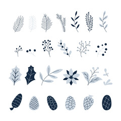 vector set of winter plants