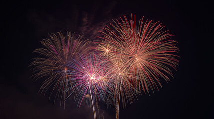 firework new year 2026 landscape