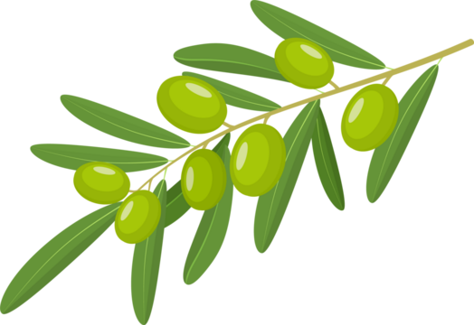 Green Olives Branch
