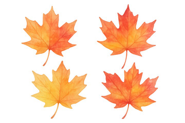 Obraz premium Watercolor maple leaves illustrating autumn season changes with colorful tree foliage on transparent background