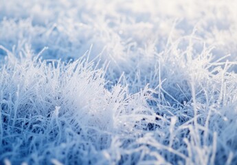 Fototapeta premium WINTER