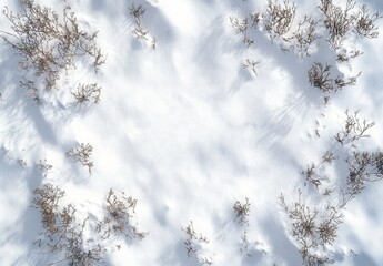 Obraz premium WINTER