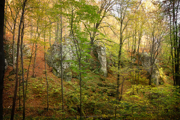 Autumn landscape with picturesque rocks in the forest. Nature of Poland