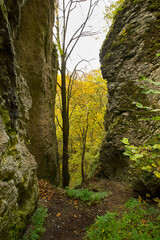 Autumn landscape with picturesque cliffs. Autumn nature in Poland