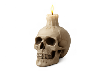 Skull candle burning, illuminating a creepy scene, symbolizing mortality and spooky halloween celebrations on a transparent background