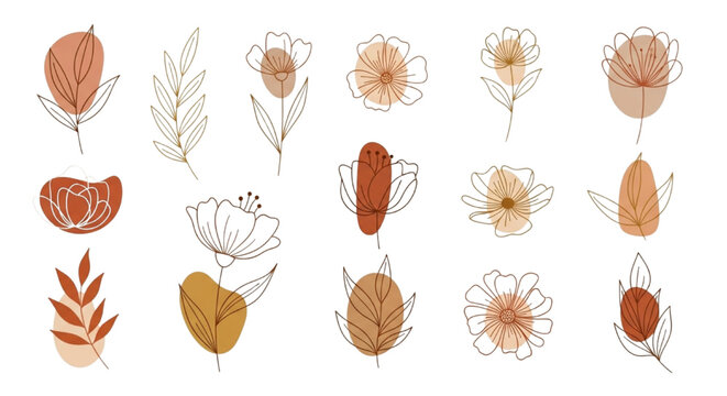 Vector collection of bohemian minimalist flower and leaf line art elements in earth tones.