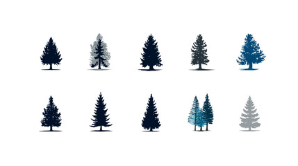 Obraz premium Set of Stylized Evergreen Pine Trees and Firs Isolated on White Background. Coniferous Forest Nature Illustrations.