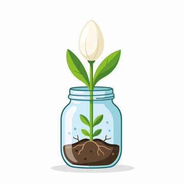 A sprouting plant with a white flower bud growing in a glass jar. Flat design graphic representing growth, new life, and nature.