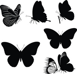Butterfly silhouette vector, insect wing shape, black bug illustration, nature anatomy pose, cad drawing flat vector illustration