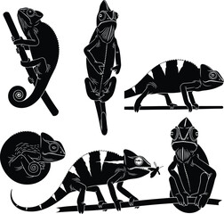 Chameleon silhouette vector, climbing reptile illustration, curled tail lizard pose, nature anatomy study, cad drawing flat vector illustration, insect catch