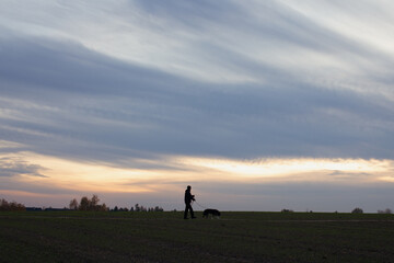 Fototapeta premium Sunset field landscape with cirrus streak clouds and silhouette of a man walking a husky dog on a leash