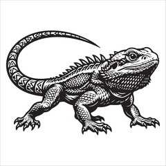 Obraz premium bearded dragon lizard silhouette vector on white background
