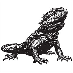 Obraz premium bearded dragon lizard silhouette vector on white background